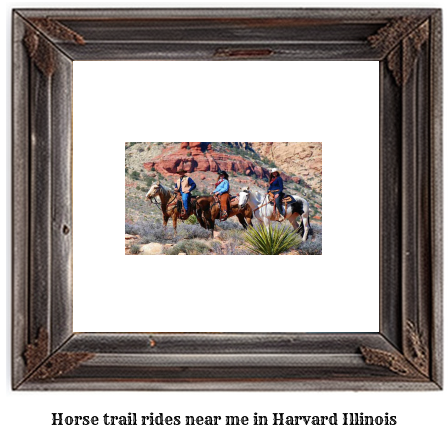 horse trail rides near me in Harvard, Illinois